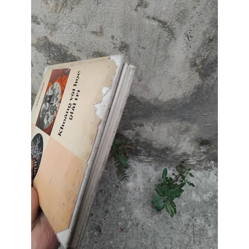 Khoáng vật học giải trí của Fecxman  1025088