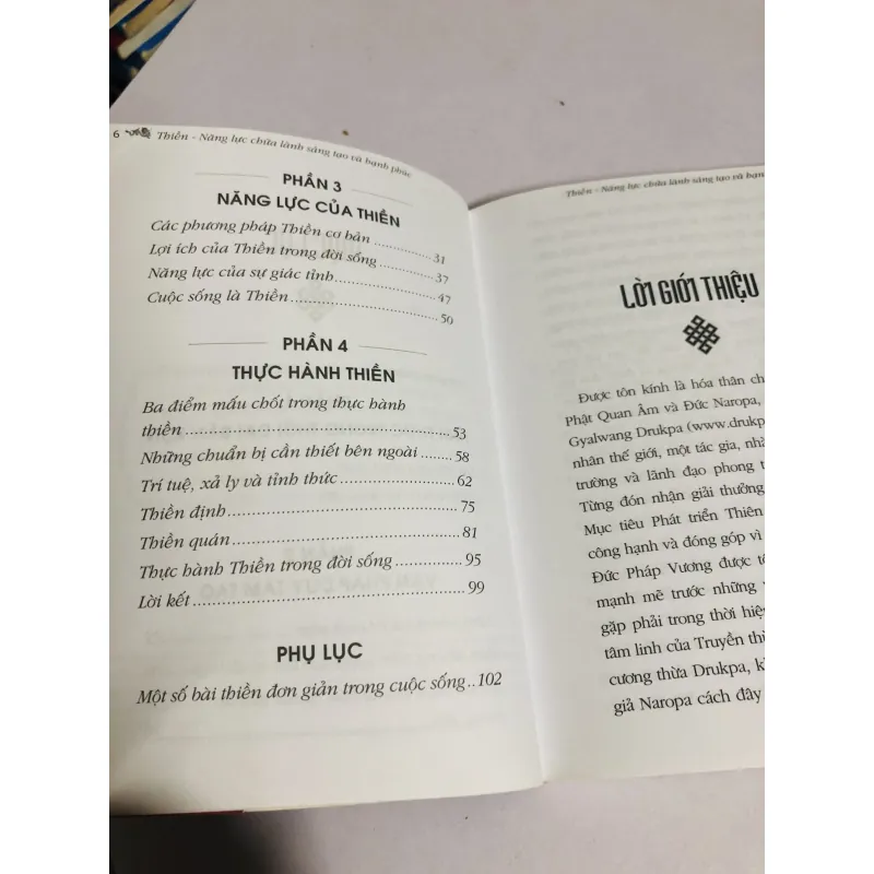 THIỀN NĂNG LỰC CHỮA LÀNH SÁNG TẠO VÀ HẠNH PHÚC 780465