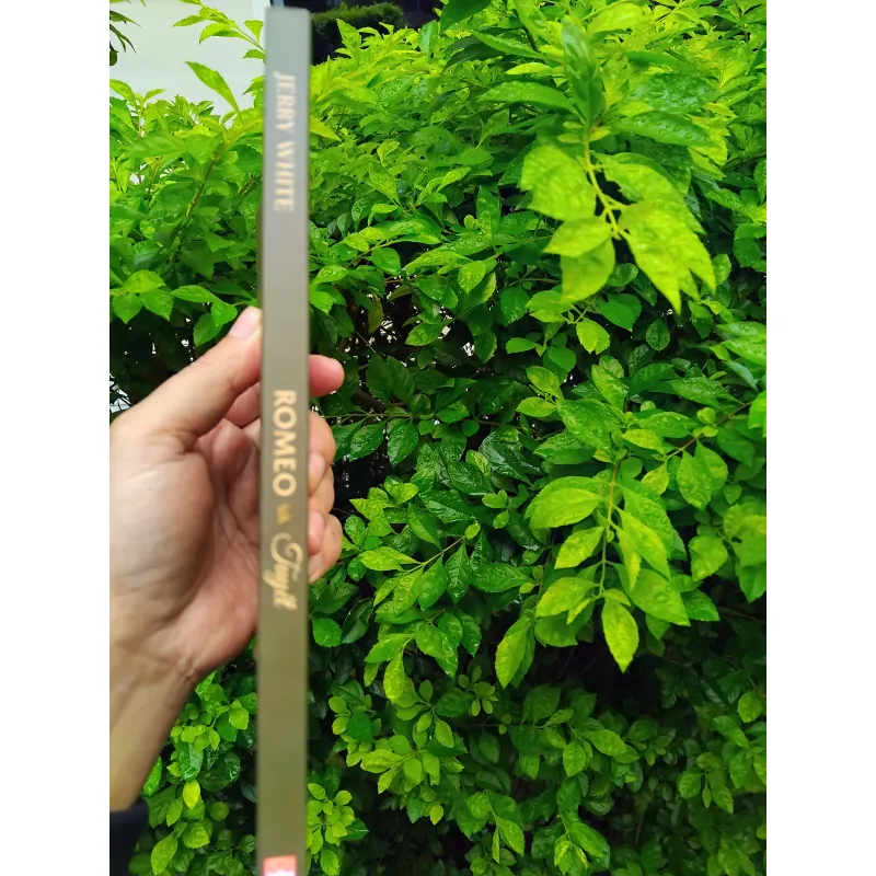 Romeo và Tuyết tự truyện của Jerry White 1000247