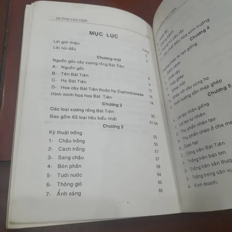 Huỳnh Văn Thới - XƯƠNG RỒNG BÁT TIÊN, kỹ thuật trồng, phương pháp lai tạo 737665