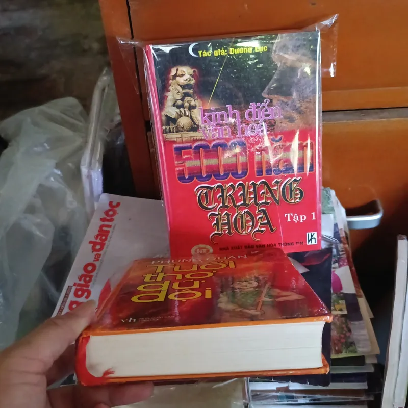 Tuổi thơ dữ dội  1061516