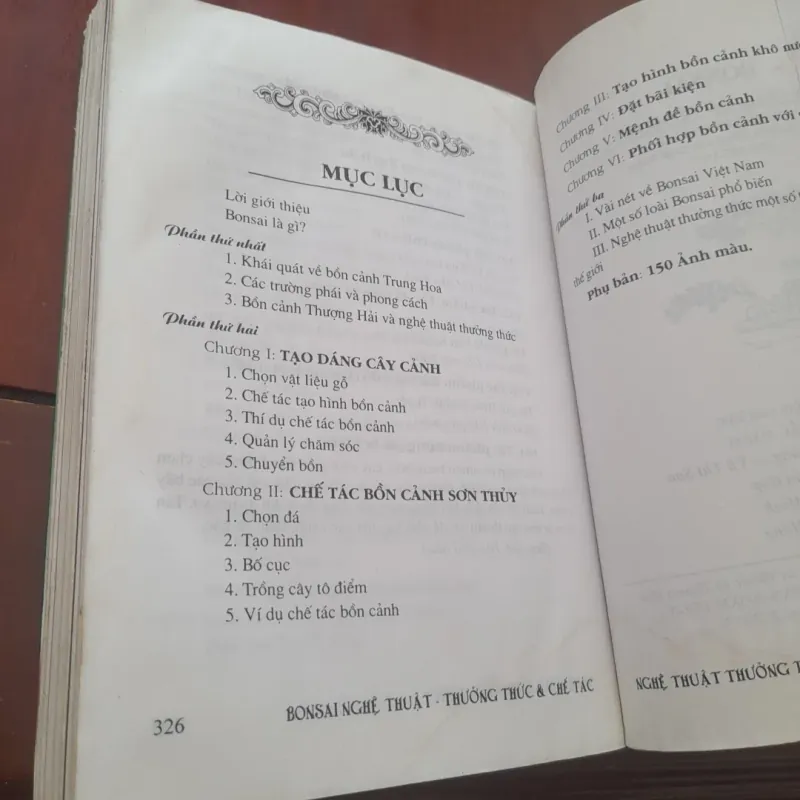 BONSAI Cây dáng, thế và Non bộ 751882
