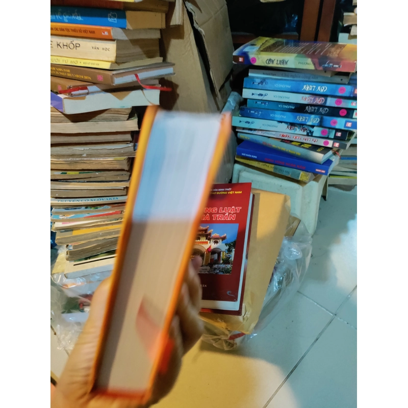Thơ đường luật thời nguyễn  462275