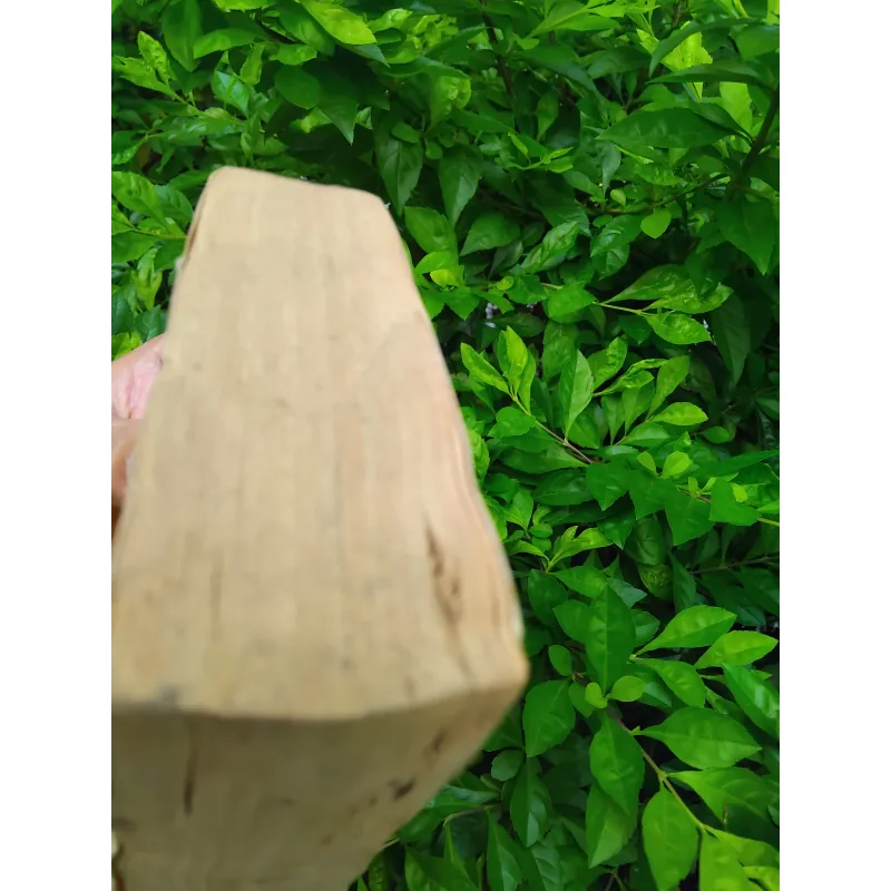 Fire in the lake của Frances Fitzgerrald  1001282