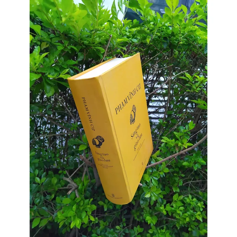 Sáng tạo và giao lưu của GS Phạm Vĩnh Cư 972237