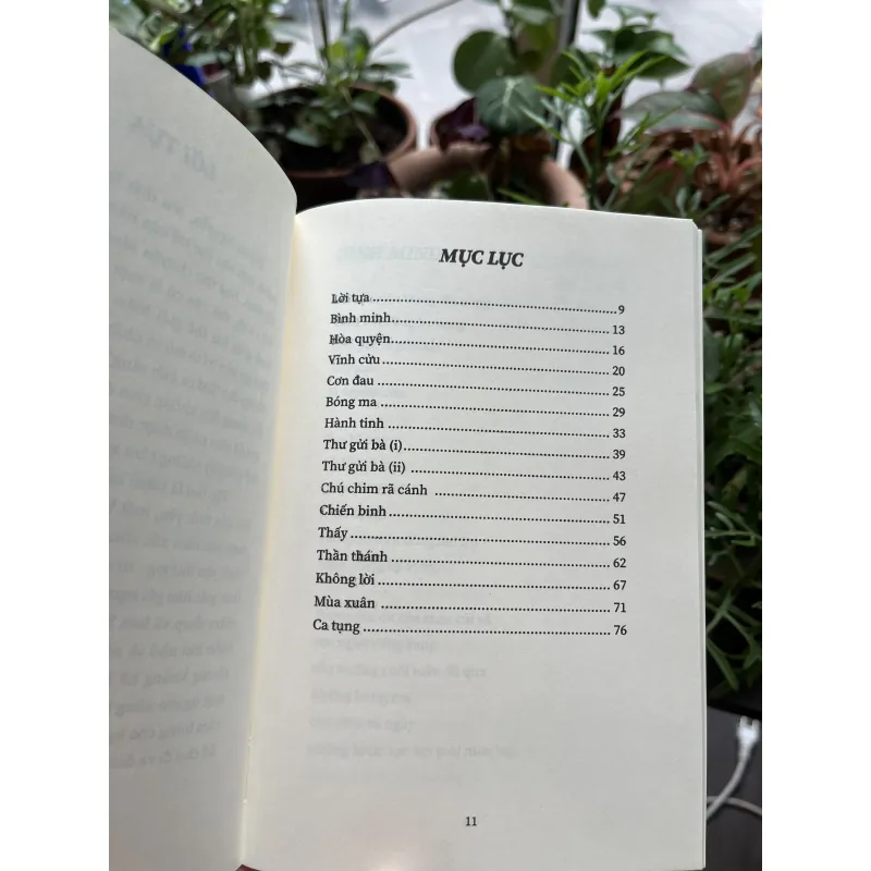 Bài Ca Ánh Sáng - Quỳnh Nguyễn 993605