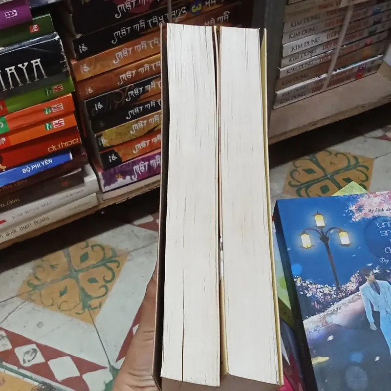 Thái Tử Phi Thăng Chức Ký 2 Tập- Tiên Chanh 576061