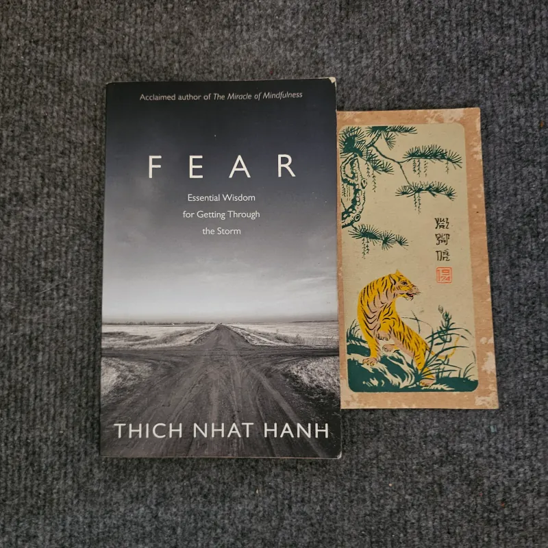 Fear - Thích Nhất Hạnh 754013