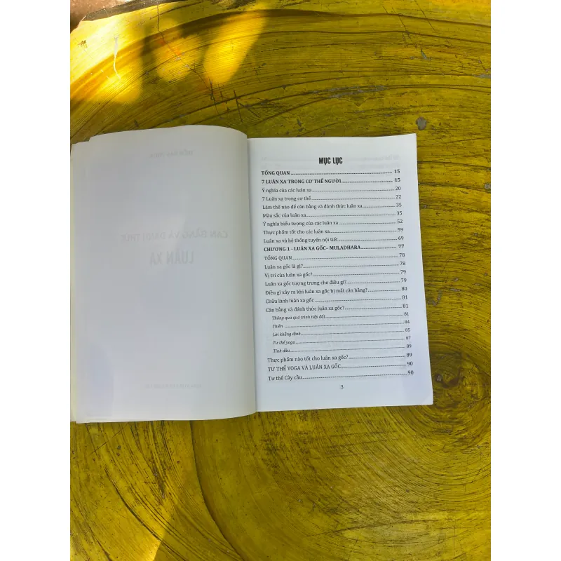 CÂN BẰNG VÀ ĐÁNH THỨC LUÂN XA- PHAN THỊ HẰNG 729098