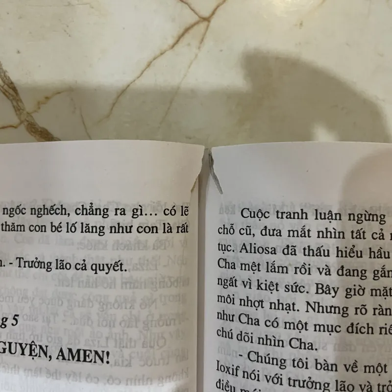 Anh em nhà Karamazov 748607