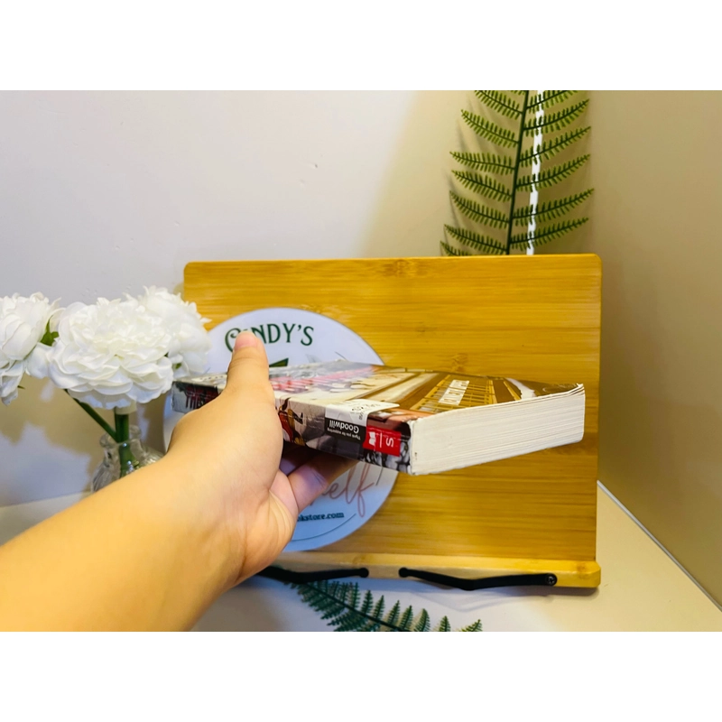 [Sách tiếng Anh 2hand] Like new 90% - The Boundless - Kenneth Oppel 494112