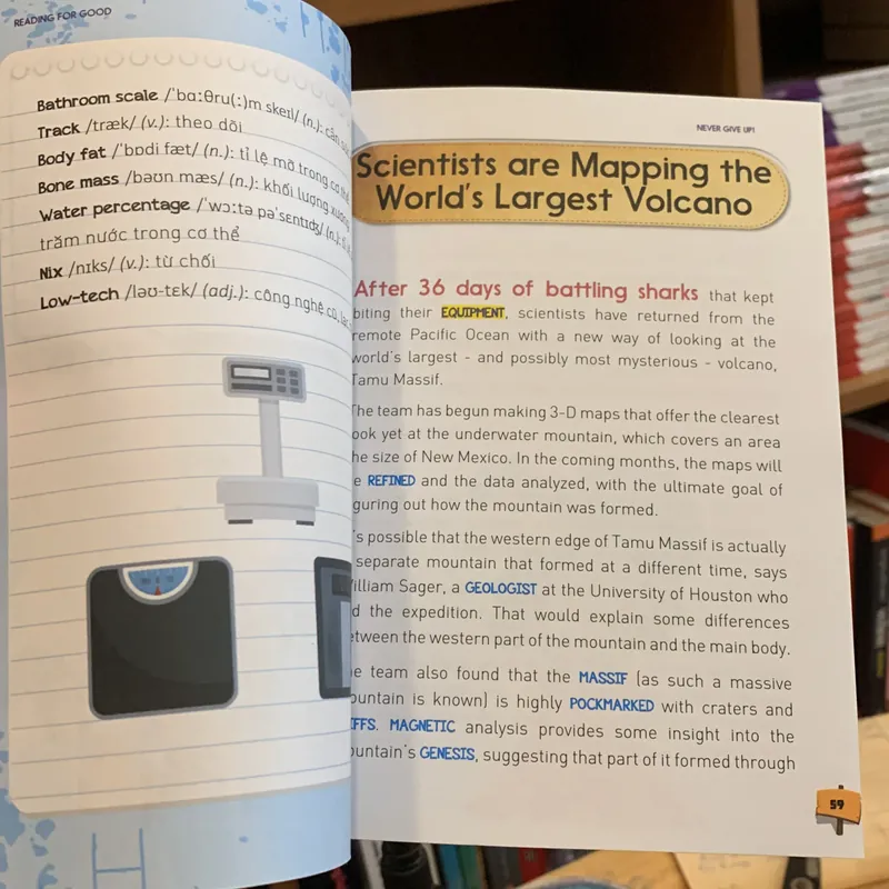 Never Give Up - The Wanderers  719569