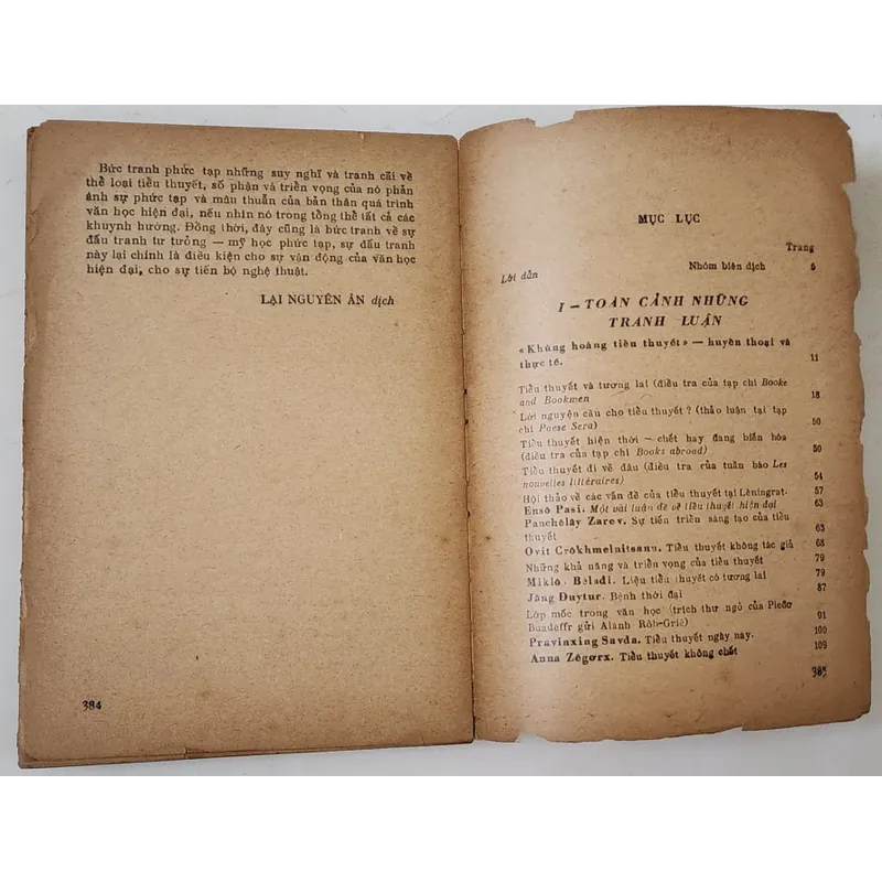 SỐ PHẬN CỦA TIỂU THUYẾT - Ý kiến của các tác giả nước ngoài 714666