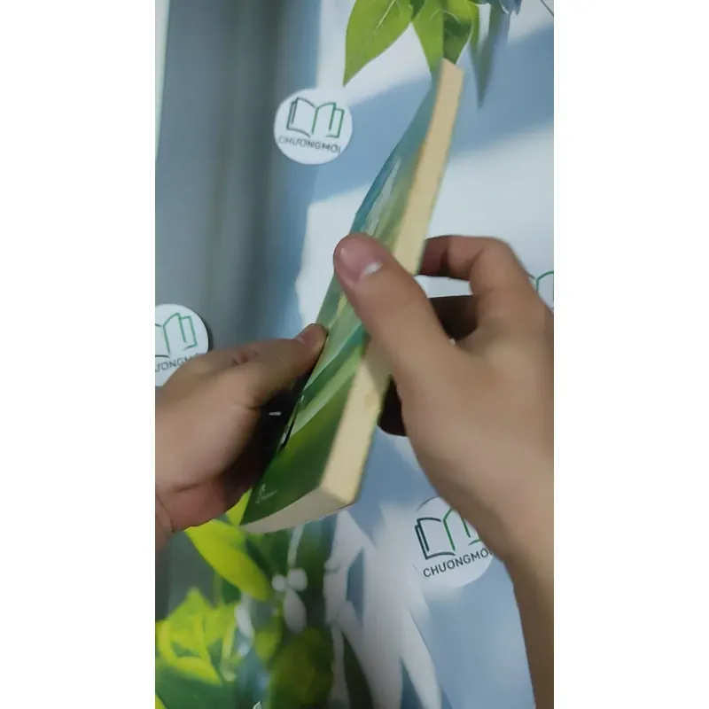 Khói Trời Lộng Lẫy - Nguyễn Ngọc Tư 798452