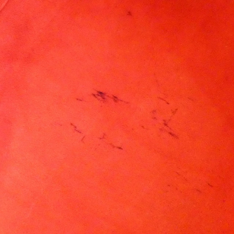 Túi Louis Vuitton Damier Saleya PM N51183 616823