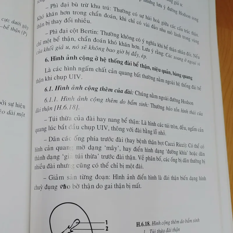 CHẨN ĐOÁN X QUANG  572267