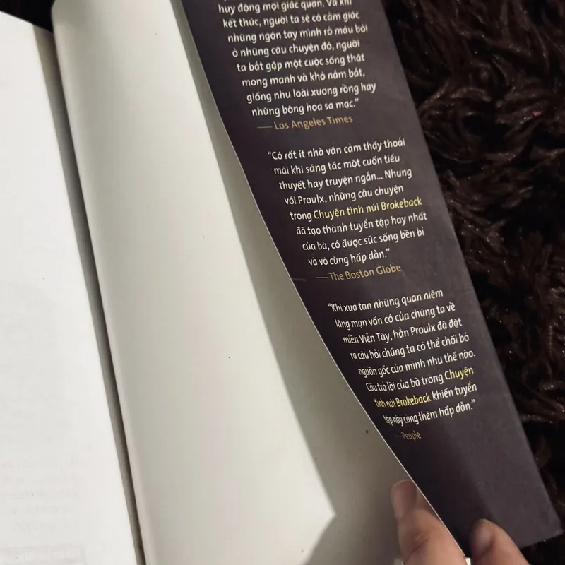 Chuyện tình núi BrokeBack (bản in đầu) 735266