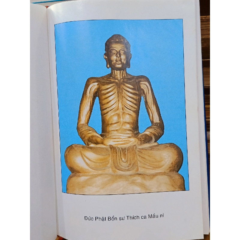 Văn hóa Phật giáo: Đường về xứ Phật (bộ 2 tập) - Thượng tọa Thích Thông Lạc 494343