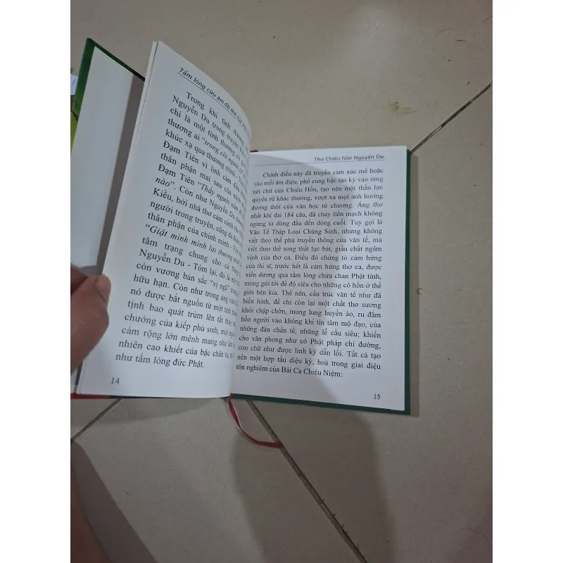 Thơ chiêu hồn Nguyễn Du 1002639