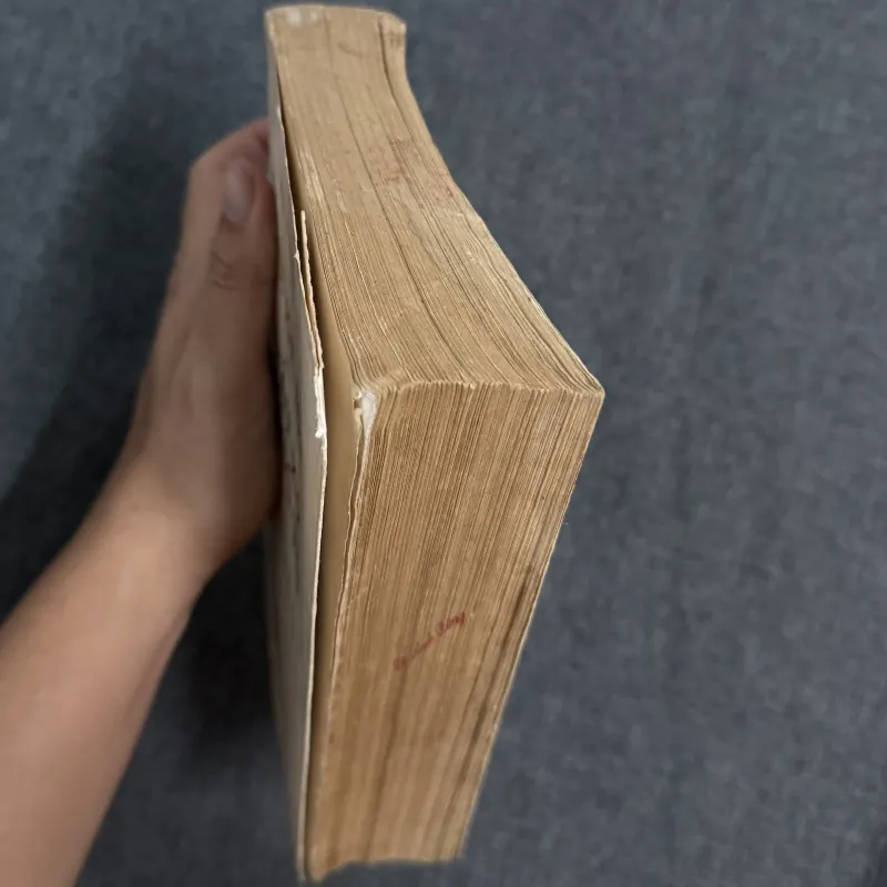 Suy nghĩ mới về Nhật ký trong tù - Nguyễn Huệ Chi chủ biên 791382