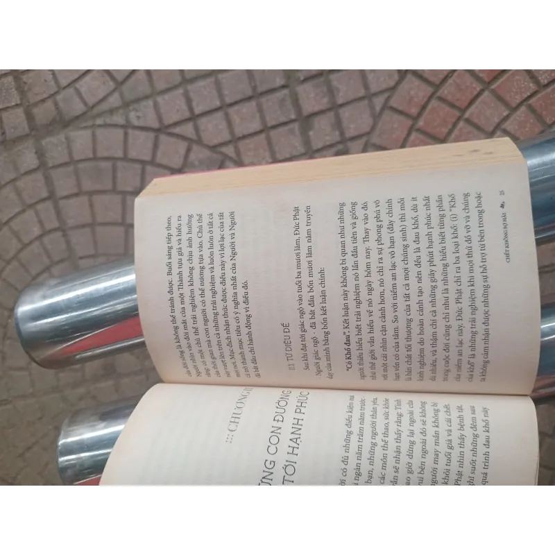 Chết không sợ hãi 1002393