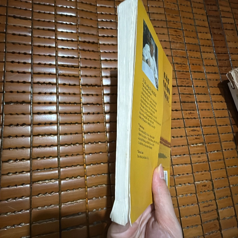 Đất quần ngư 464356