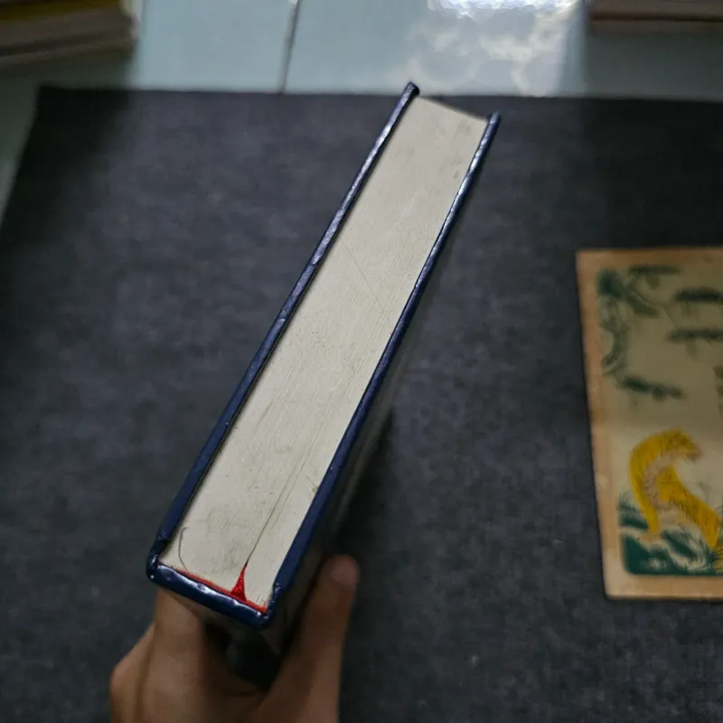 Khoa học tự nhận thức 745494