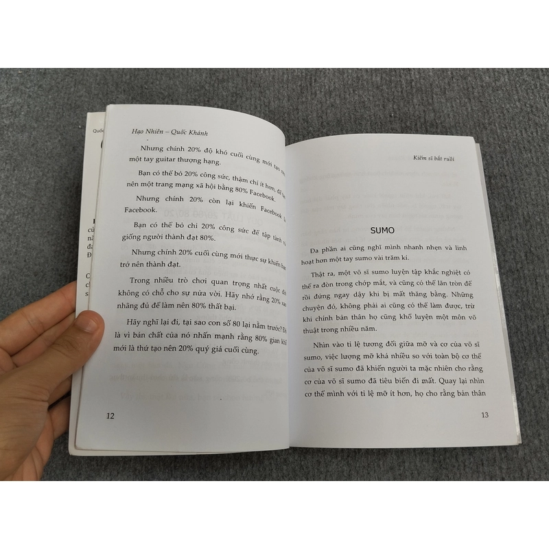 KIẾM SĨ BẮT RUỒI 533349