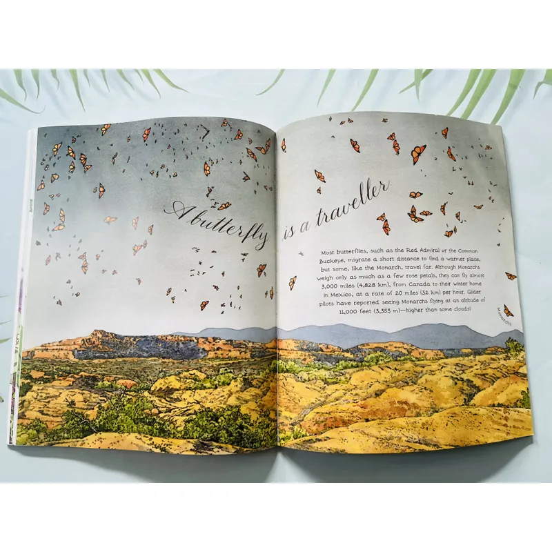 A Butterfly Is Patient – Dianna Hutts Aston & Sylvia Long 690108