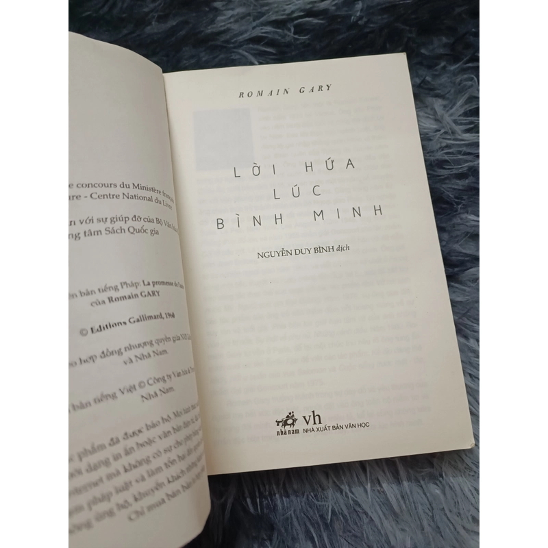 Lời hứa lúc bình minh (Romain Gary) 535002