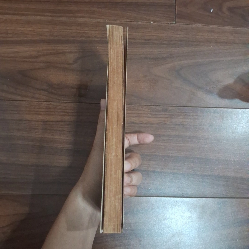 Ngọn đèn đêm qua 508044