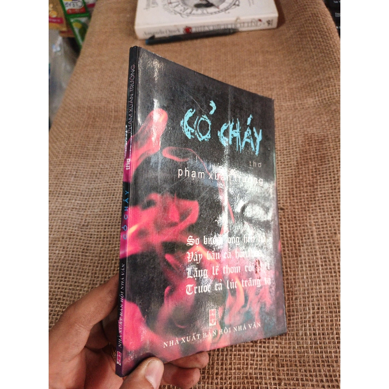 Cỏ cháy - Phạm Xuân Trường 2006 mới 80% ố (Sách văn học) HLSC2404 1028413