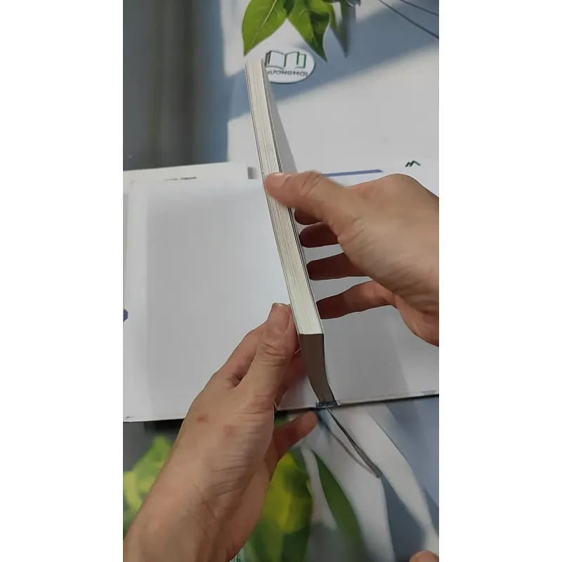 BTS: Con Đường Khẳng Định Chính Mình, Hành Trình Đến Gần Thần Tượng - Goo Ja-hyoung 749588