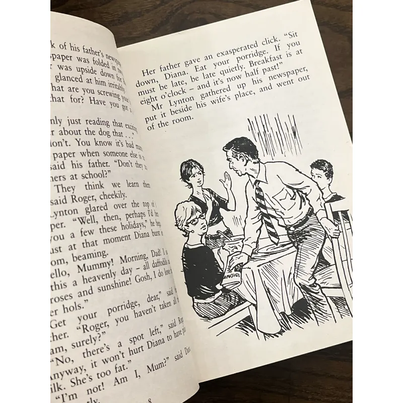 The Rilloby Fair Mystery 972085