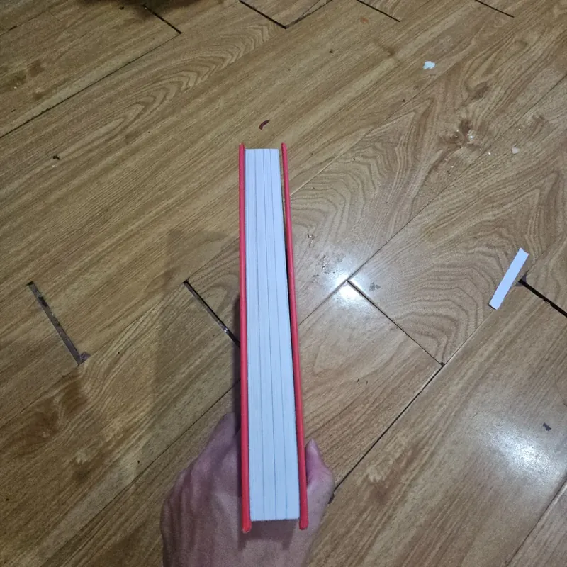 Horrid Henry's Fearsome Four Giá 30k  602675