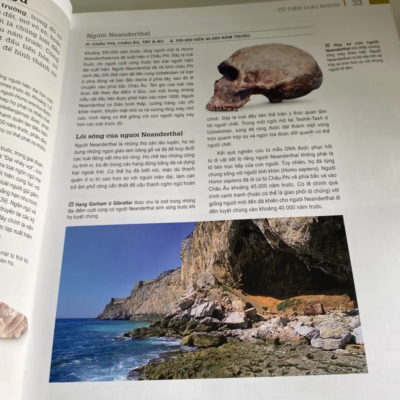 WORLD HISTORY - TỪ THẾ GIỚI CỔ ĐẠI ĐẾN THỜI ĐẠI THÔNG TIN, bản bìa cứng, sách ảnh đẹp 971195