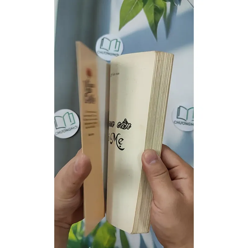 Vì con cần có mẹ - ATY 798384