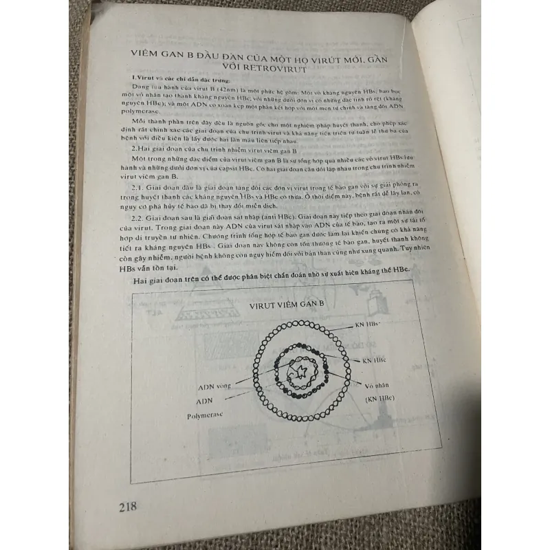 Bài giảng huyết học và truyền máu - hơn 200 trang, khổ lớn  750246