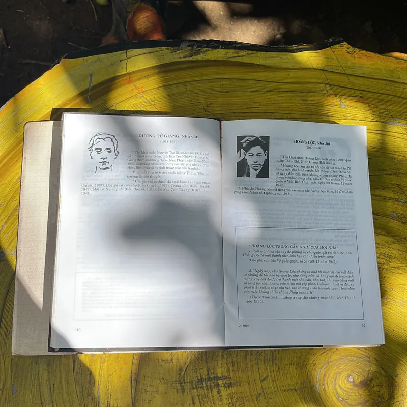 NHÀ VĂN VIỆT NAM HIỆN ĐẠI BÌA CỨNG - HỘI NHÀ VĂN VIỆT NAM(1) 735852