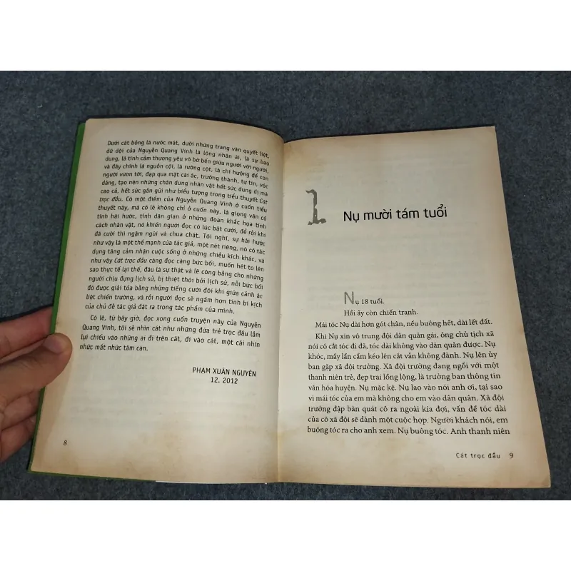 CÁT TRỌC ĐẦU - NGUYỄN QUANG VINH 588742