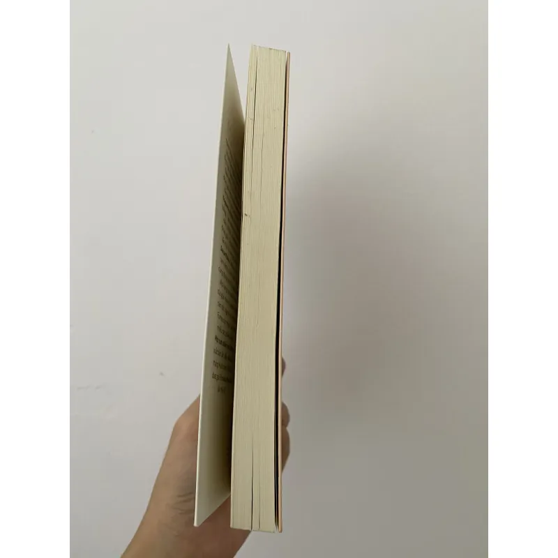 Một nửa chiếc va li - Kondo Fumie 602488