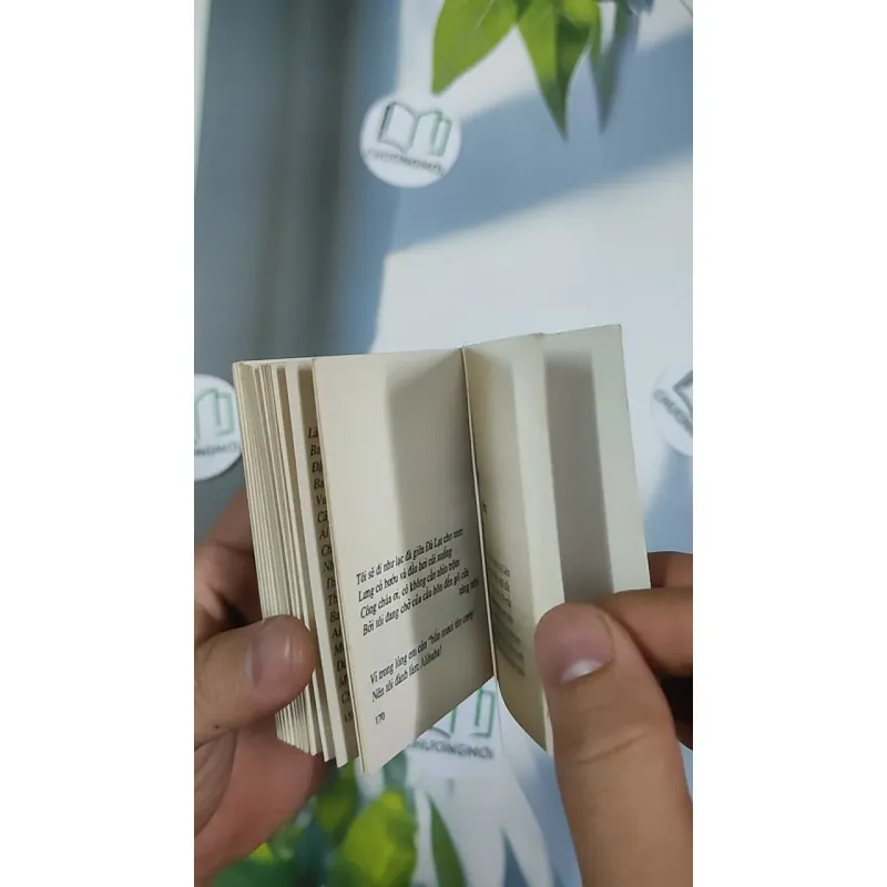 Combo Thơ Hàn Mặc Tử, Bùi Chí Vinh 798494