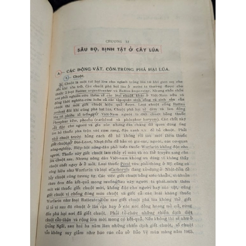 Kỹ thuật trồng lúa cải thiện - Tôn Thất Trình 378188