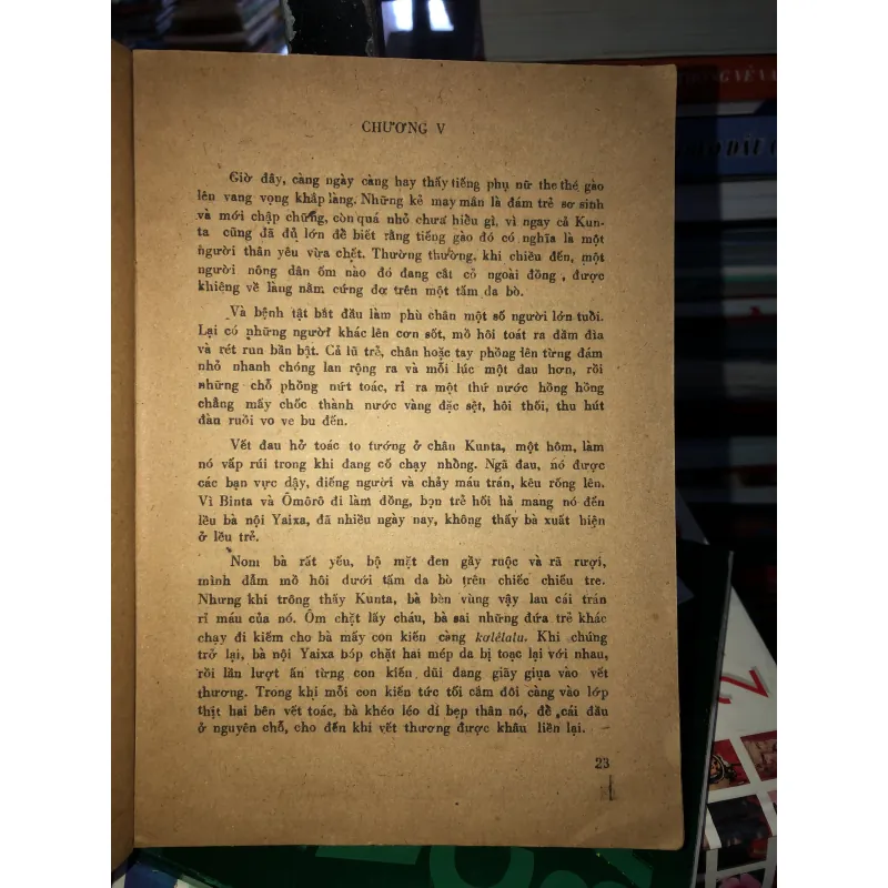 Cội rễ - E. Heili  786744