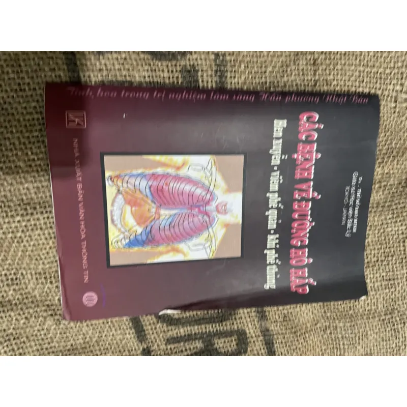 Các bệnh về đường hô hấp GS. TS. THỈ SỐ ĐẠO MINH 1026077