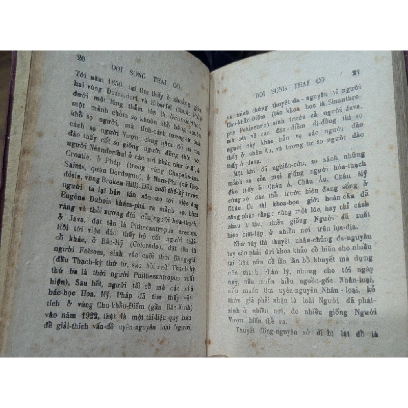 Đời sống thái cổ - Nguyễn Đức Quỳnh ( in năm 1943 ) 1004819