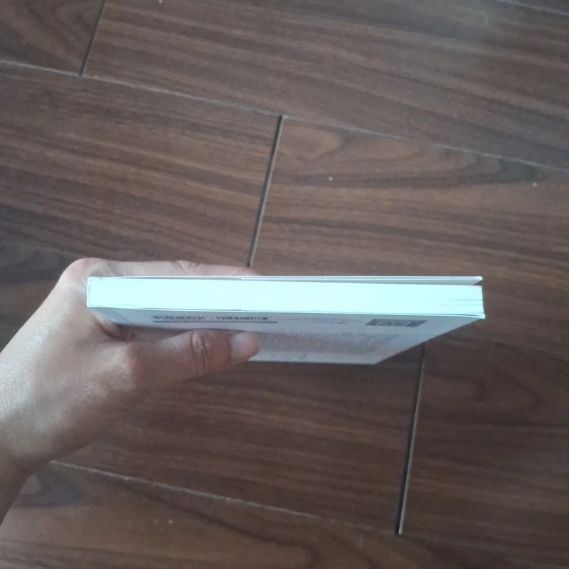 Những tản văn suýt bỏị quên của bọ Lập - Nguyễn Quang Lập 523189