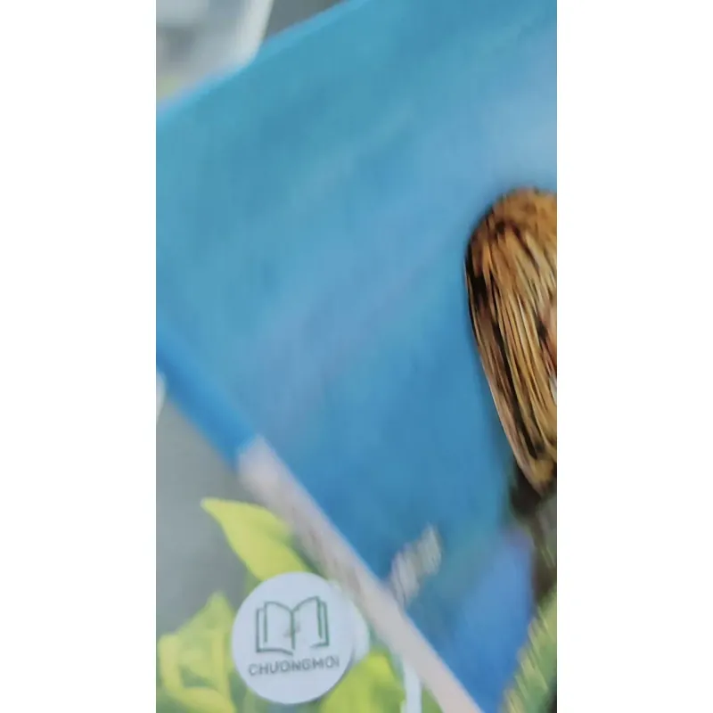 [Tặng nẹp góc] Truyện thiếu nhi Hàn Quốc: Moyamo Anu 35 -  모야모 아누와: 마법의 알 732032