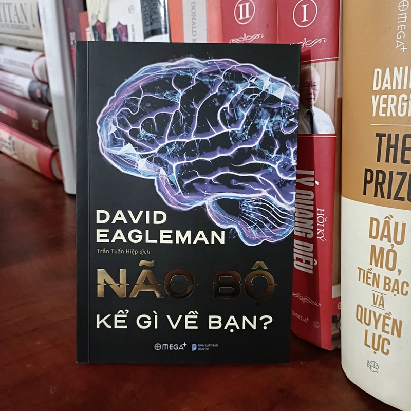 Não bộ kể gì về bạn - David Eagleman 493093