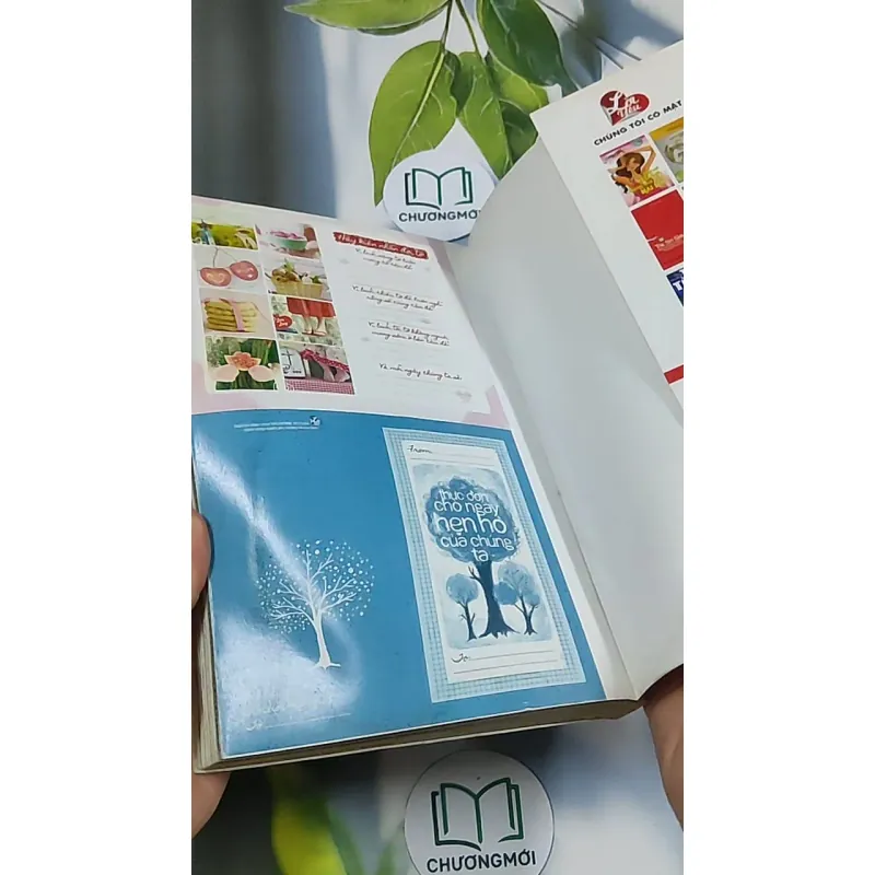 Truyện đôi Valentine 688705